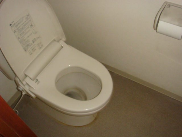 Toilet