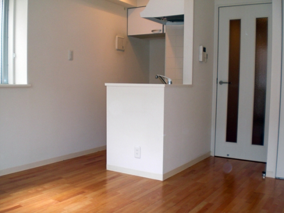 Kitchen. Face-to-face kitchen