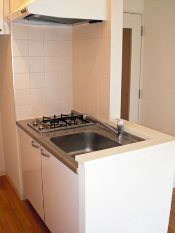 Kitchen. System Gasukitchin