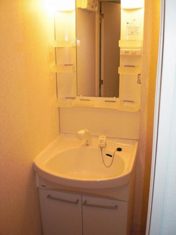 Washroom. Wash basin with hand shower