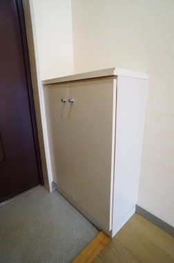 Entrance. Shoe box
