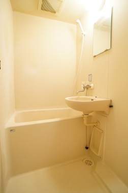 Bath. Bathroom