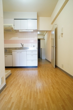 Kitchen. DK4.5 Pledge
