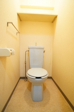 Toilet. Toilet