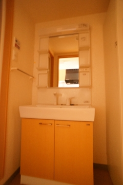 Washroom. Wash basin