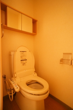 Toilet. Toilet