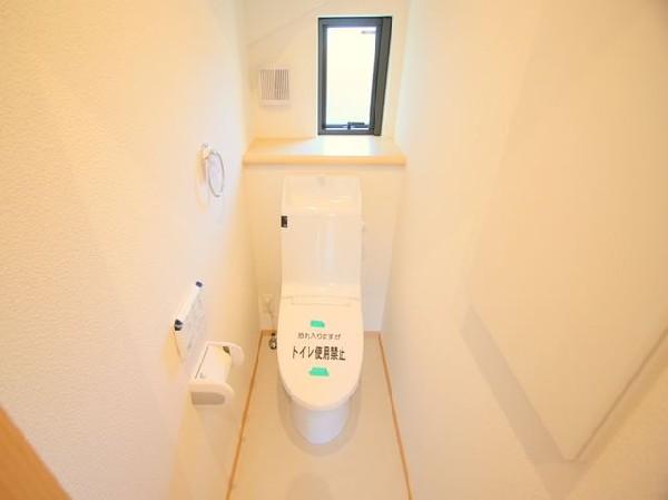 Toilet. Storage box also with toilet