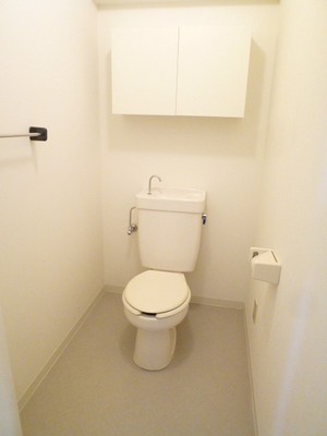 Toilet. There is storage space in the upper.