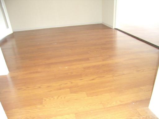 Living and room. Living