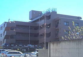 Building appearance