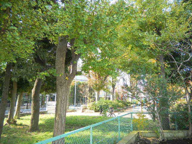park. 50m to the park (park)