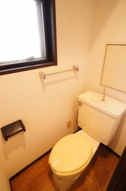 Toilet. Toilet