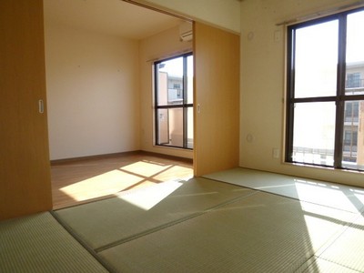 Living and room. Wide space connected use by