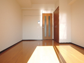 Living and room. Sunny on the south-facing Western-style