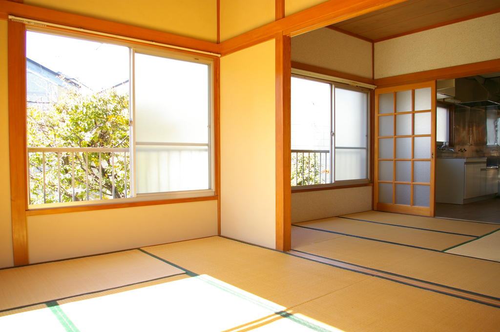 Living and room. Bright room!