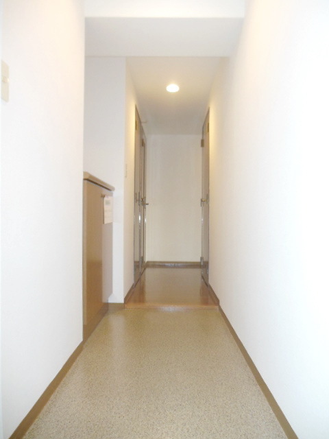Entrance. Entrance space