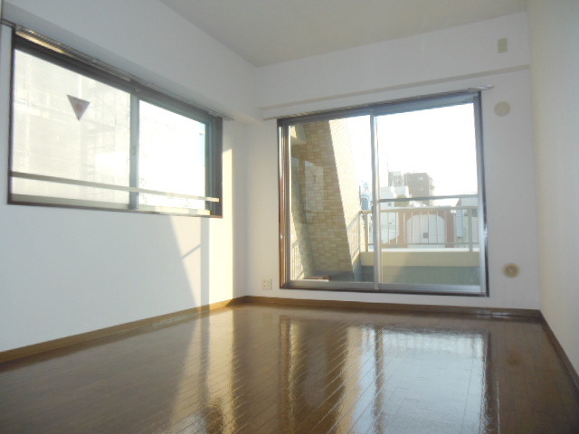 Living and room. Two-sided lighting of the bright rooms