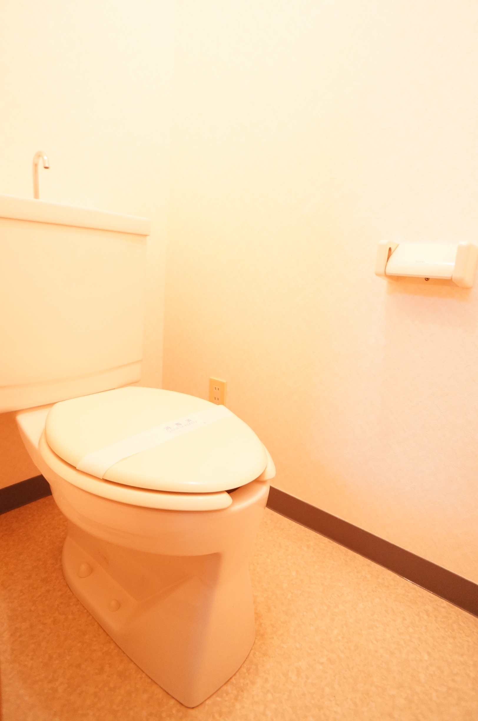 Toilet. Toilet