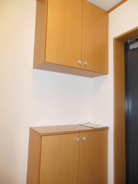 Other. Cupboard (Separate photo)