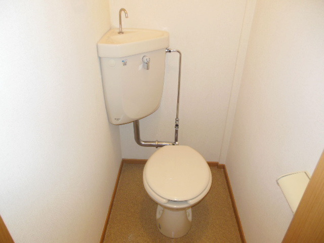 Toilet. Toilet (separate room photo)