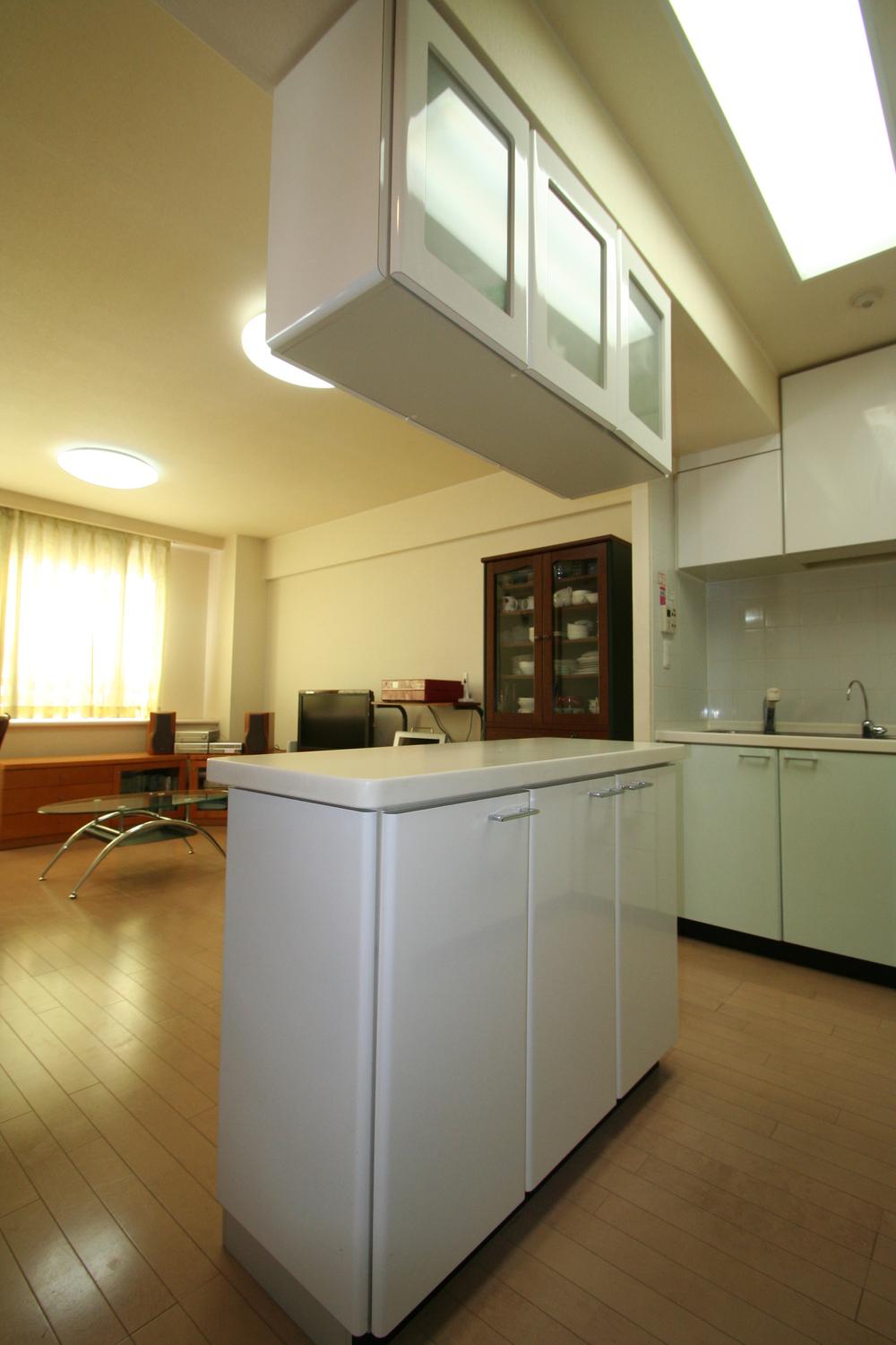 Kitchen. It is storage with Island counter.
