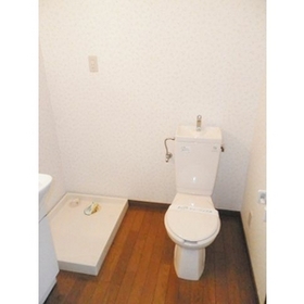Toilet. Washing machine storage is located in the room.