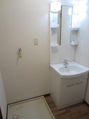 Washroom. Indoor Laundry Storage