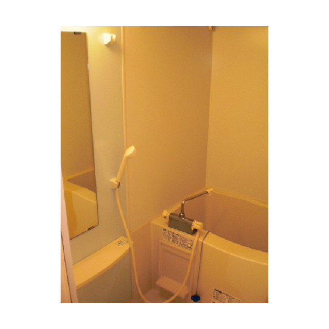 Bath. Photos will be in the room of the same type