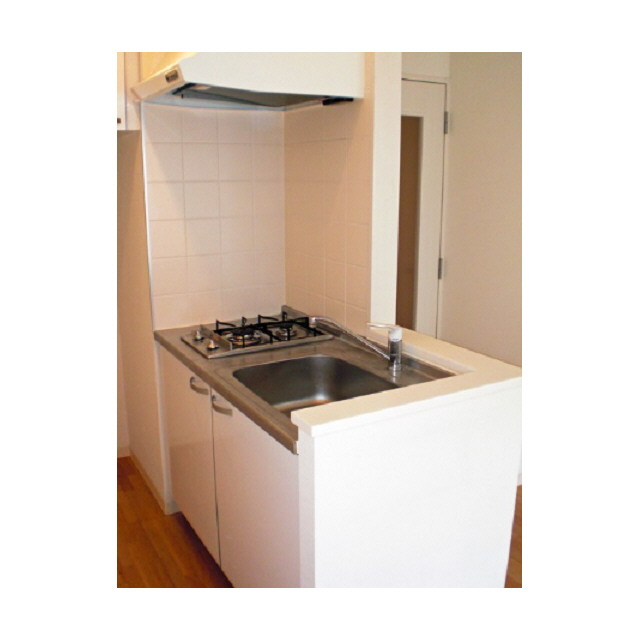 Kitchen. Photos will be in the room of the same type