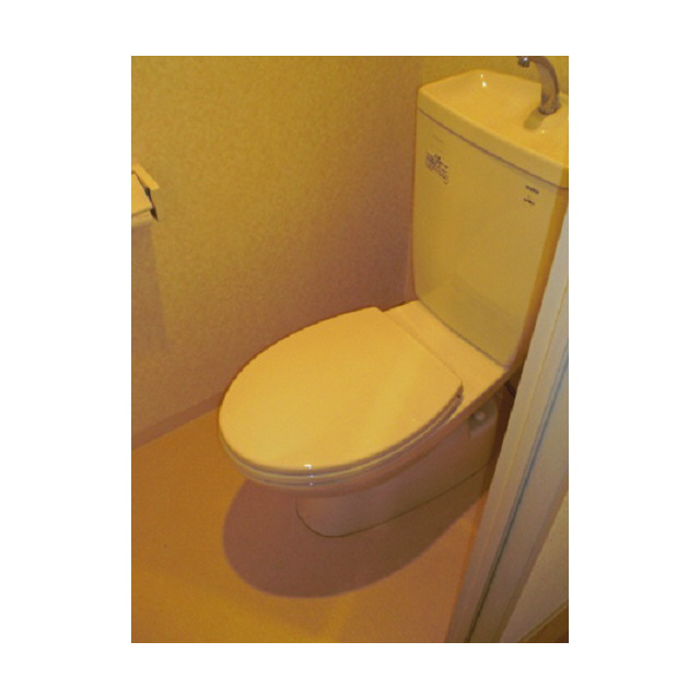 Toilet. Photos will be in the room of the same type