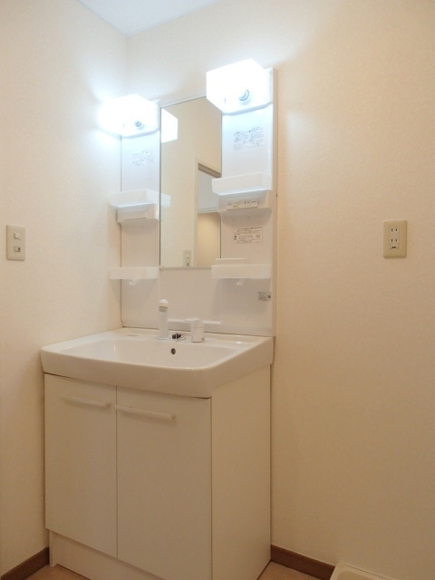 Washroom. Shampoo dresser