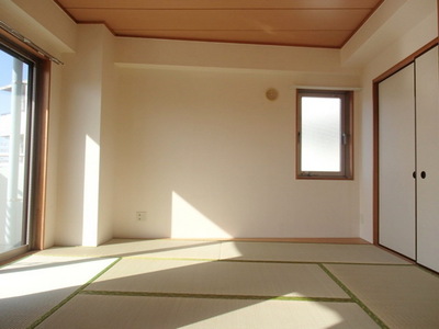 Living and room. Bright and airy Japanese-style two-sided lighting