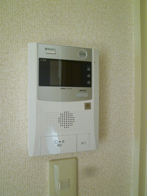 Security. TV monitor with auto-lock April 2014 a new installation