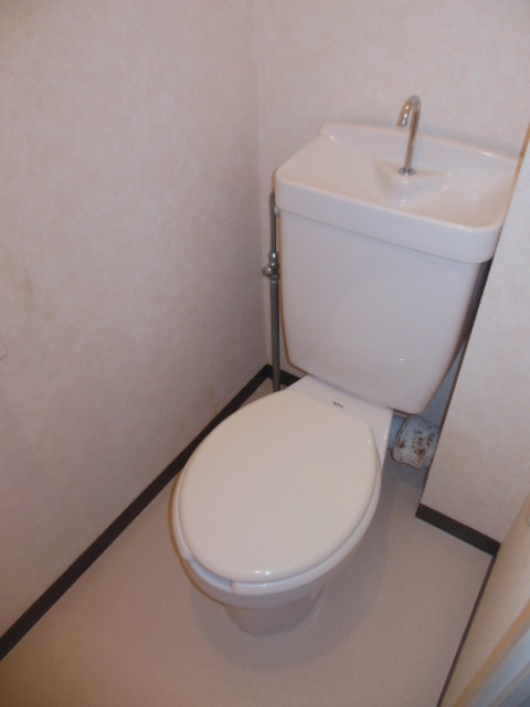 Toilet. Toilet