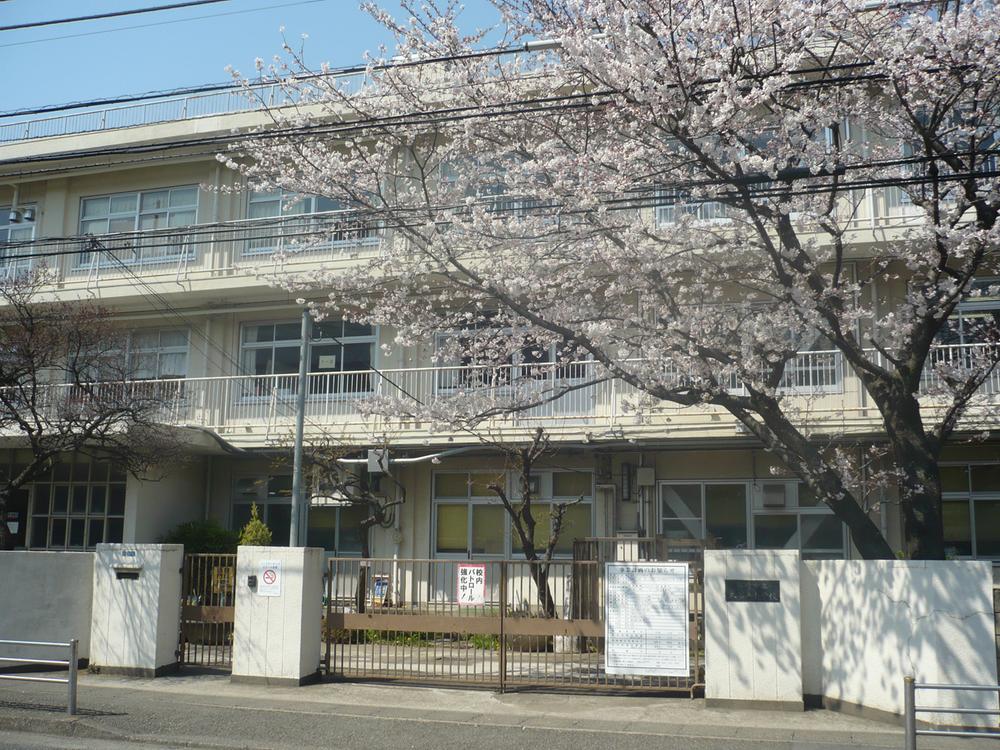 Primary school. Large Yato elementary school