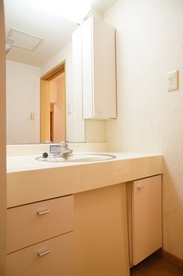 Washroom. Washstand easy-to-use wide