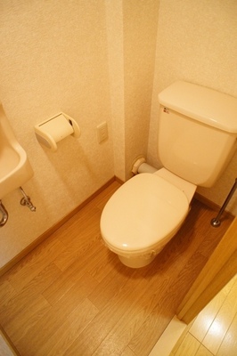 Toilet. Of course, it is by bus toilet