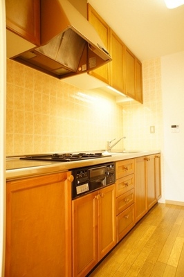 Kitchen. Wide is a system Kitchen