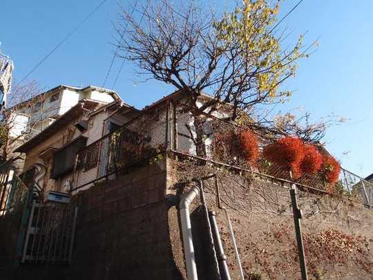 Local land photo