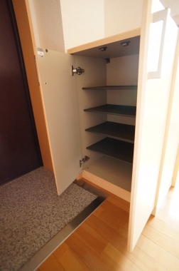 Entrance. Shoe box
