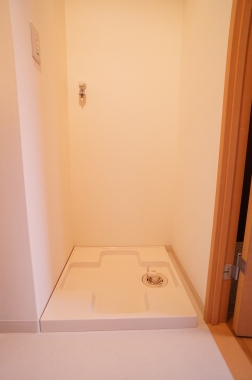 Washroom. Washing machine in the room