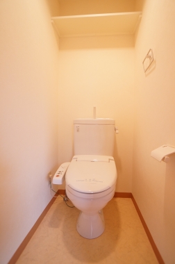 Toilet. Toilet