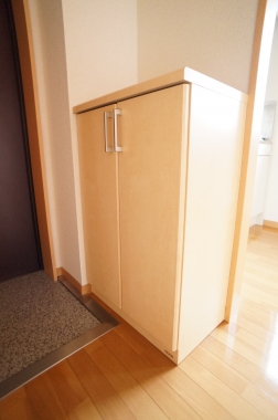 Entrance. Shoe box