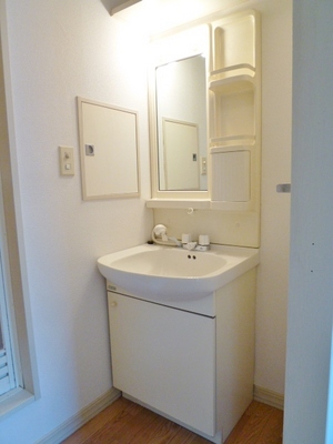 Washroom. Washbasin shower handle