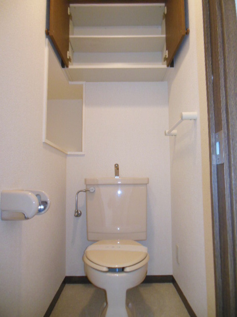 Toilet. Hot breath intimate toilet