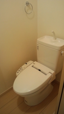Toilet. Bidet