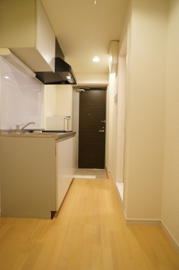 Kitchen. Around the kitchen