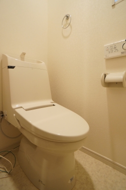 Toilet. Toilet