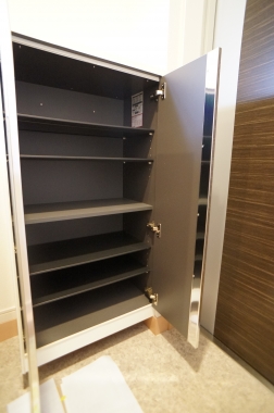 Entrance. Shoe box