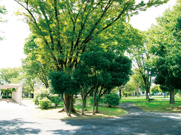 Surrounding environment. Hirama park (station Court / About 380m ・ A 5-minute walk, Residence / About 390m ・ A 5-minute walk)